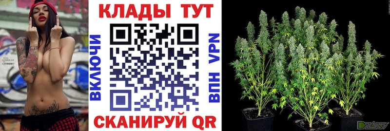 Купить наркотик Короча NBOMe APVP Cocaine Амфетамин МАРИХУАНА Мефедрон ГАШИШ