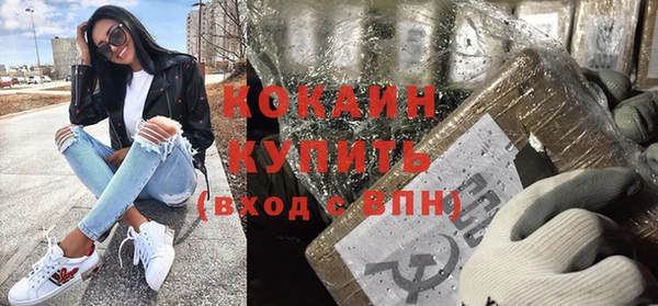 индика Пересвет