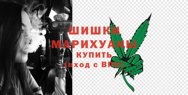 молекула духа Осташков