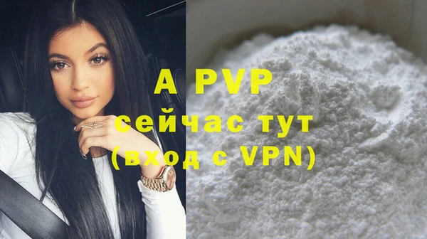 молекула духа Осташков