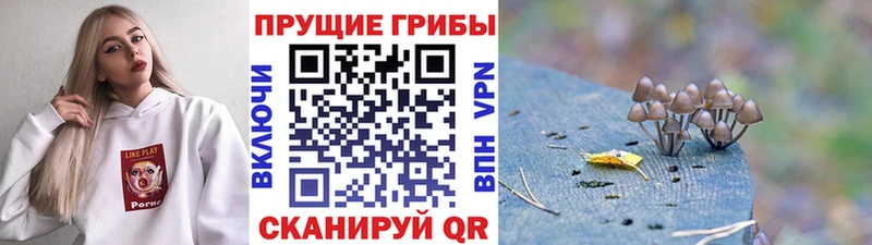 Галлюциногенные грибы GOLDEN TEACHER  Короча 